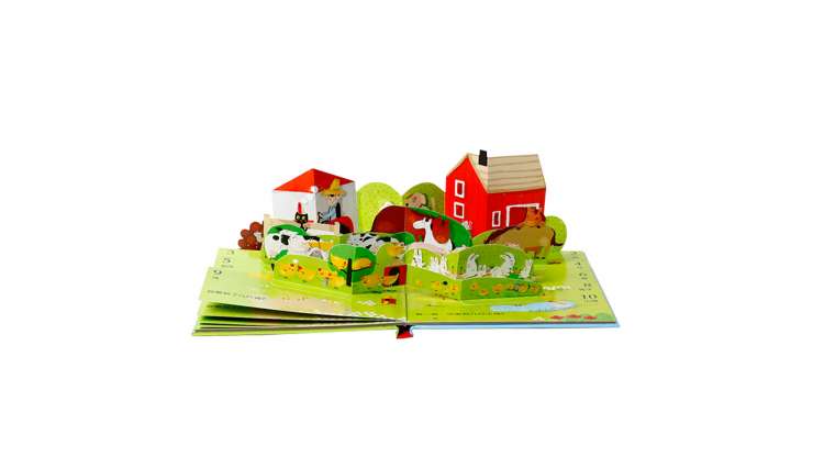 Pop-Up Book