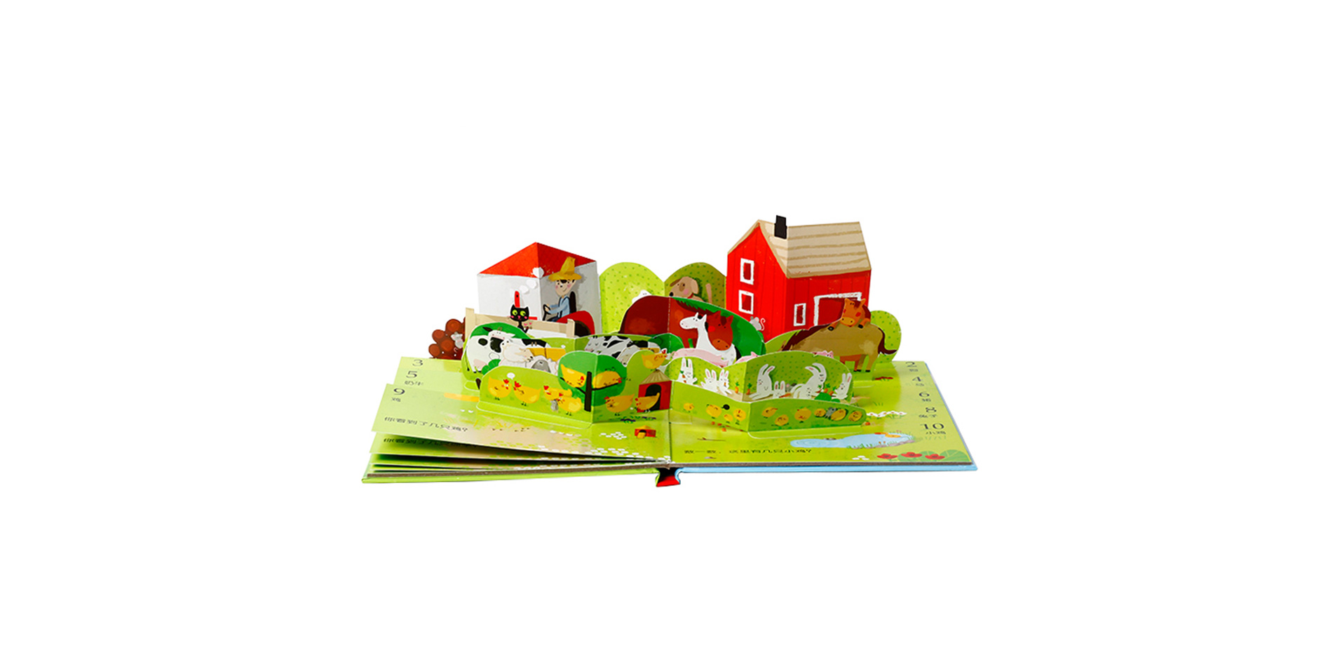 Pop-Up Book