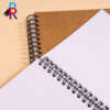 Kraft spiral journal 6