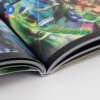 Softcover comic book3