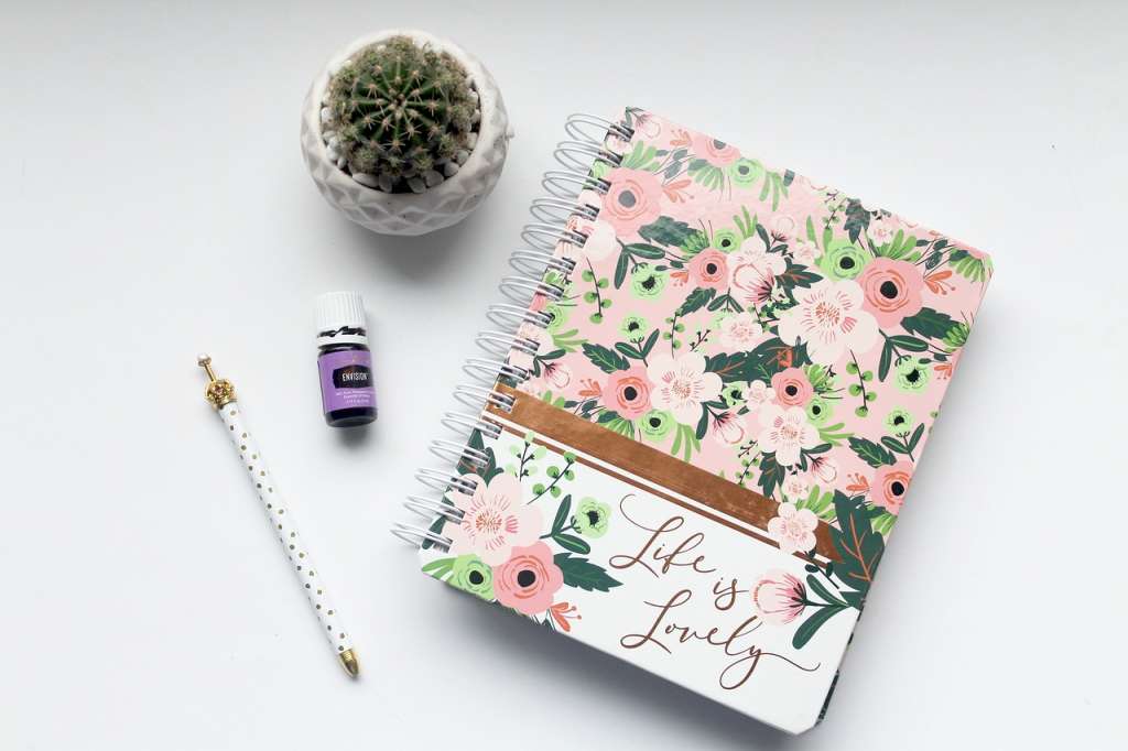 Notebook, potted prickly pear, pen, and bottle