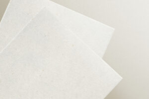 Special Paper
